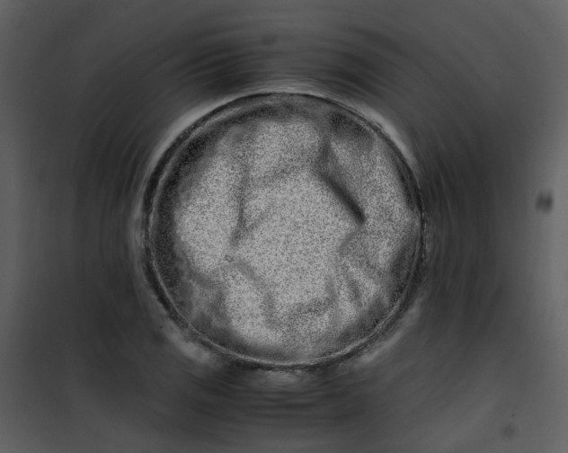 X0000101171125200807181417