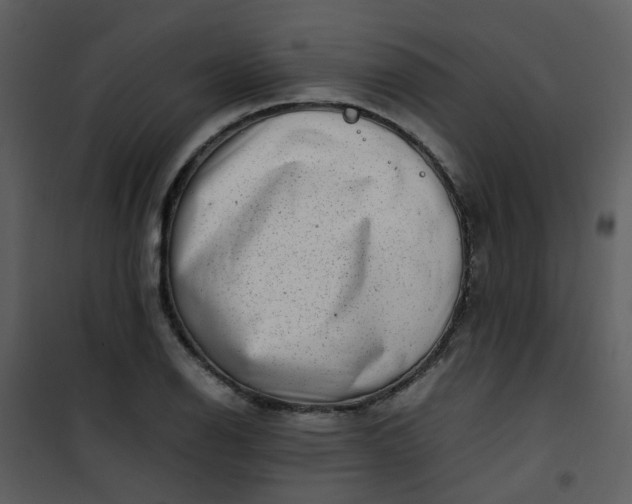 X0000101171126200807181417