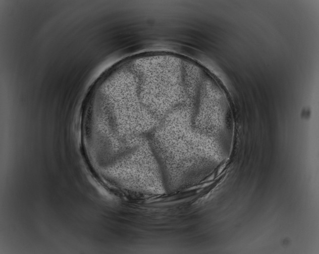 X0000101171127200807181417