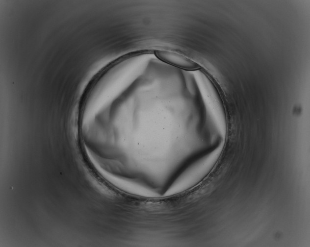 X0000101171128200807181417