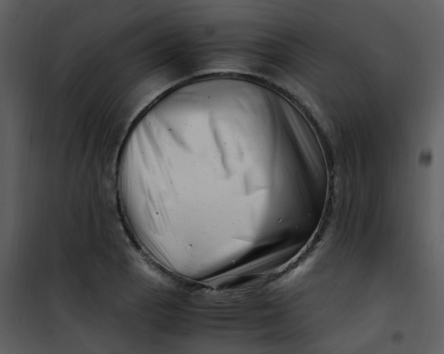 X0000101171129200807181417