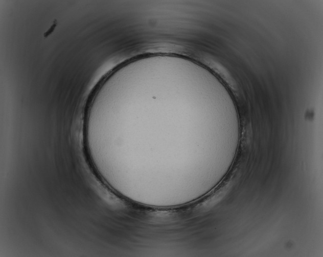 X0000101171130200807181417