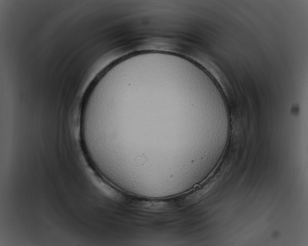 X0000101171131200807181417