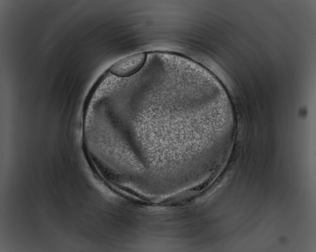 X0000101171132200807181417