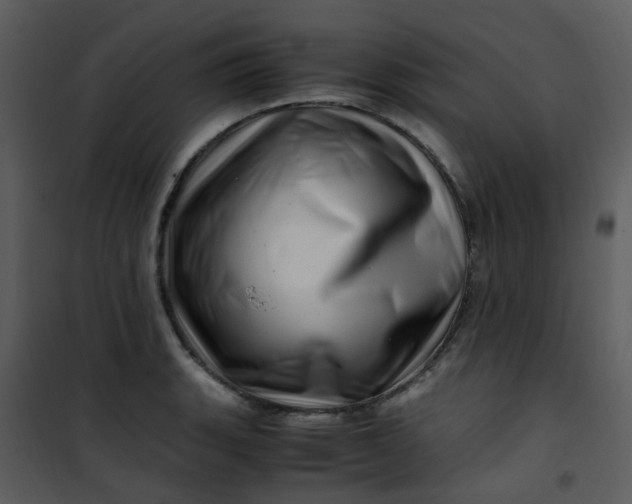 X0000101171135200807181417