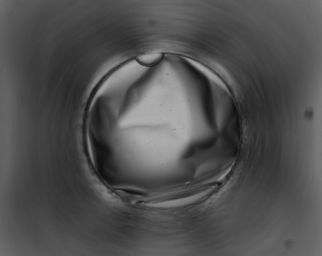 X0000101171138200807181417