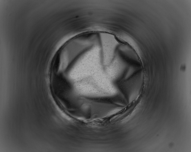 X0000101171141200807181417