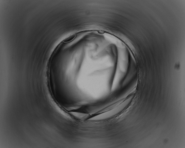 X0000101171142200807181417