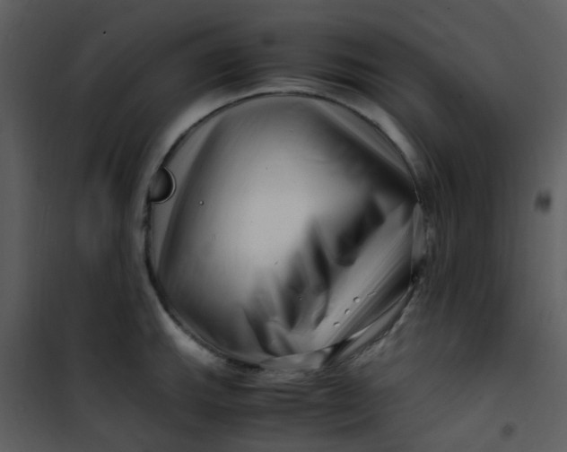 X0000101171143200807181417