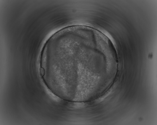 X0000101171144200807181417