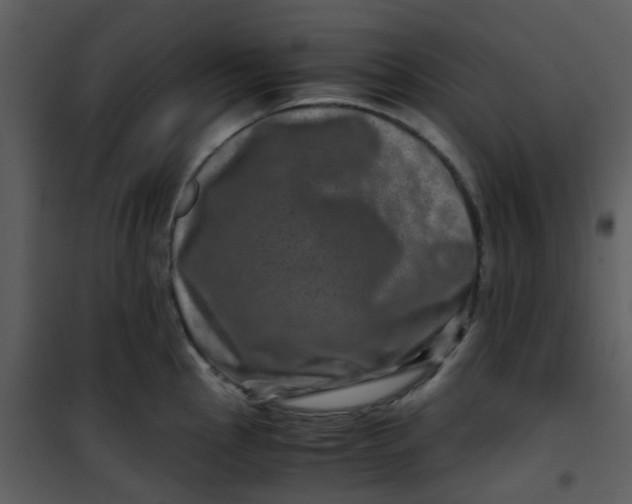 X0000101171145200807181417