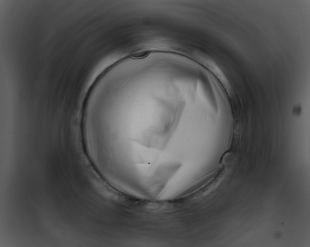 X0000101171146200807181417