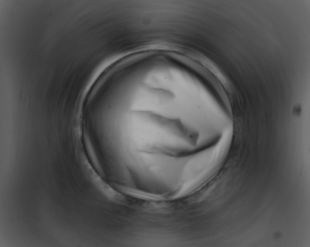 X0000101171148200807181417