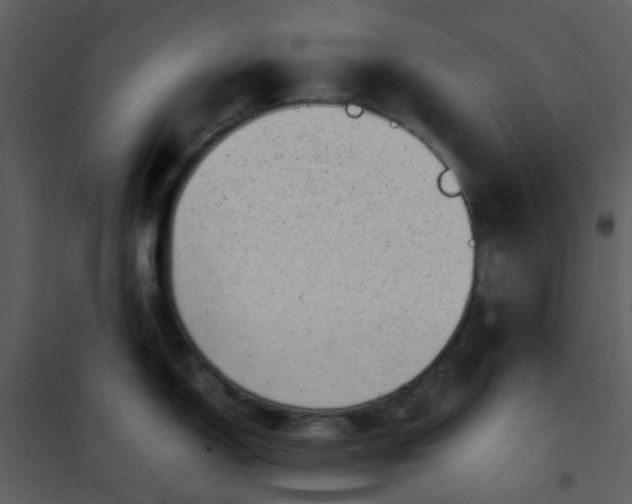 X0000101171150200807181417