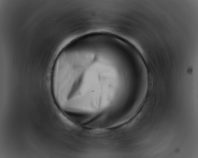 X0000101171151200807181417