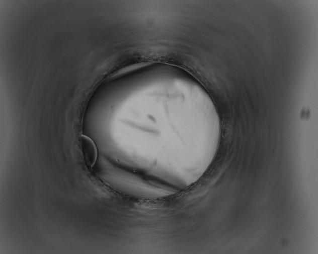 X0000101171153200807181416