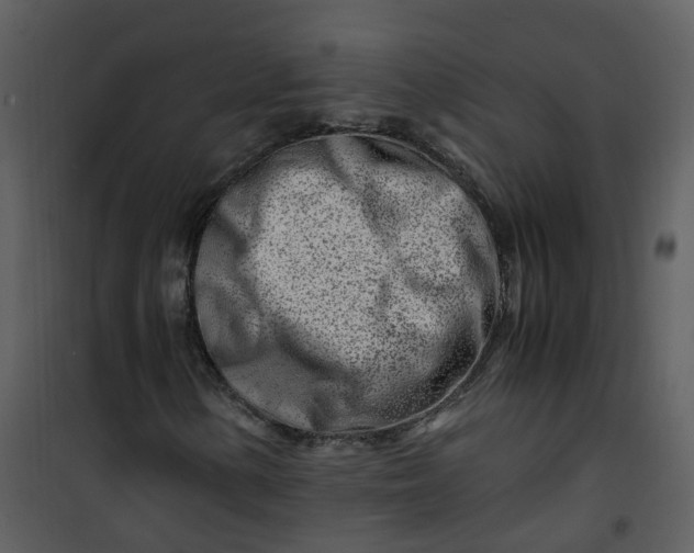 X0000101171154200807181416