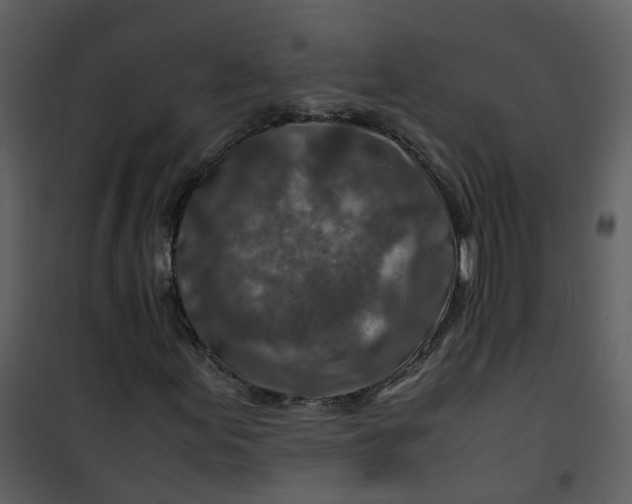 X0000101171155200807181416