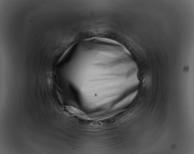 X0000101171156200807181416
