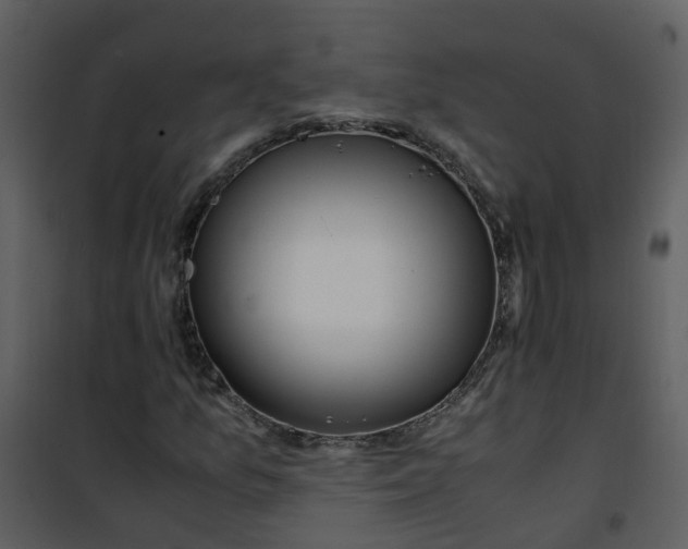 X0000101171157200807181416