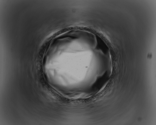 X0000101171159200807181416
