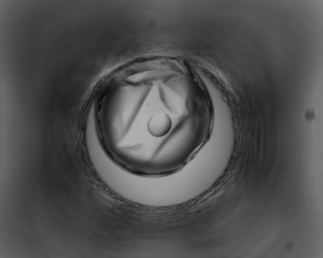 X0000101171160200807181416
