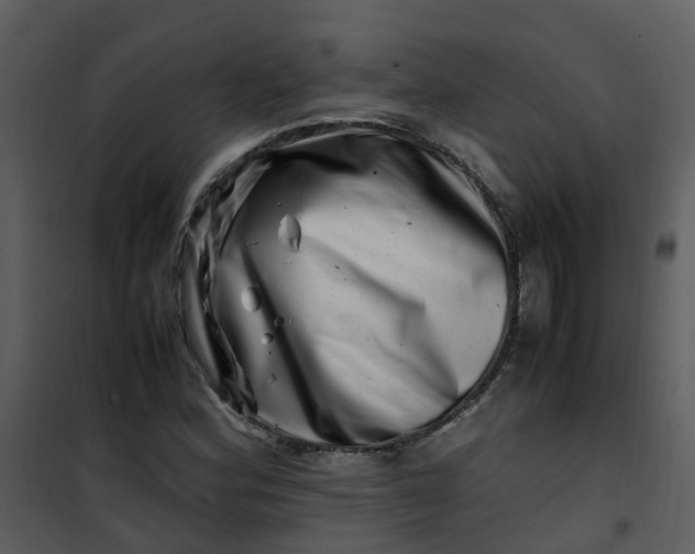 X0000101171164200807181416