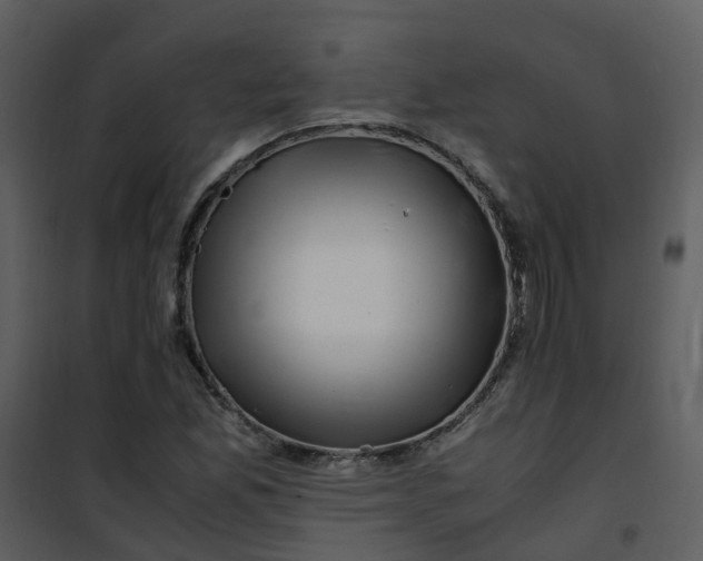 X0000101171165200807181416