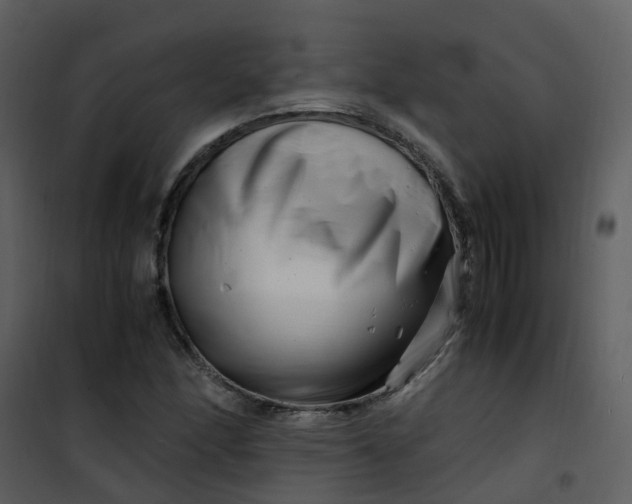 X0000101171166200807181416