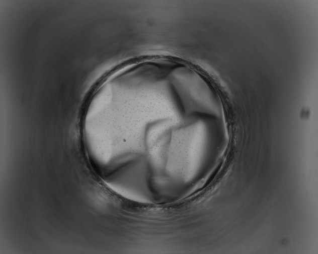 X0000101171167200807181416