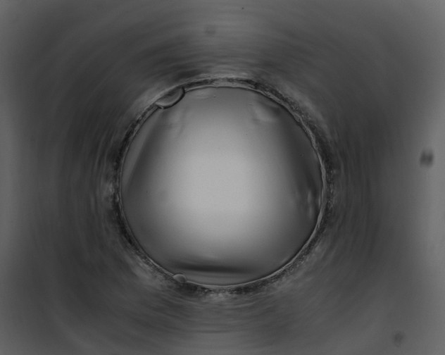 X0000101171169200807181416