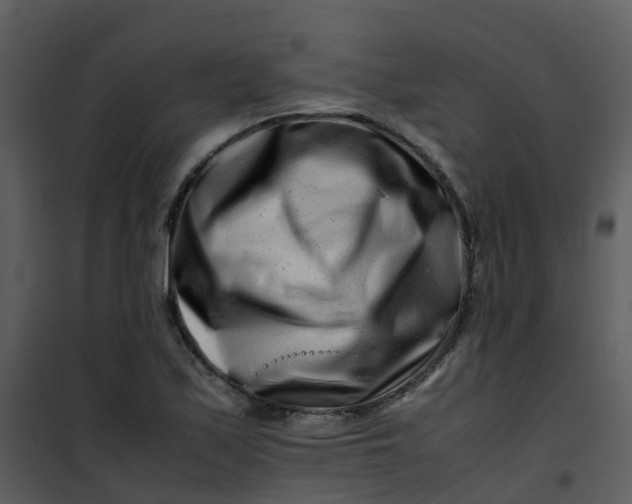 X0000101171171200807181416