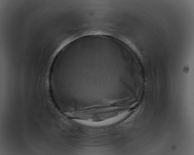 X0000101171173200807181416