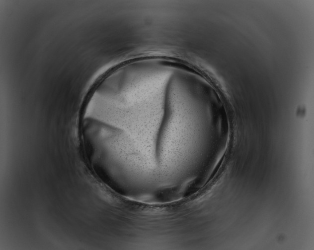 X0000101171174200807181416