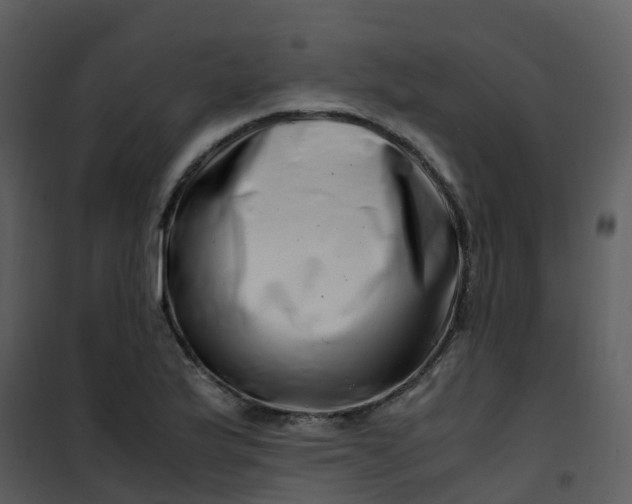 X0000101171175200807181416