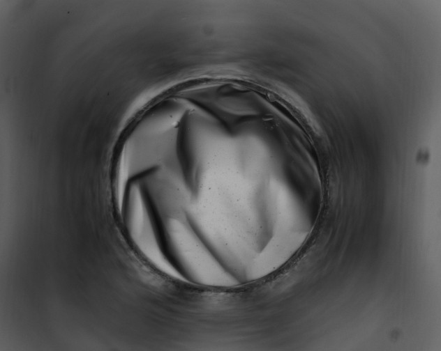 X0000101171176200807181416
