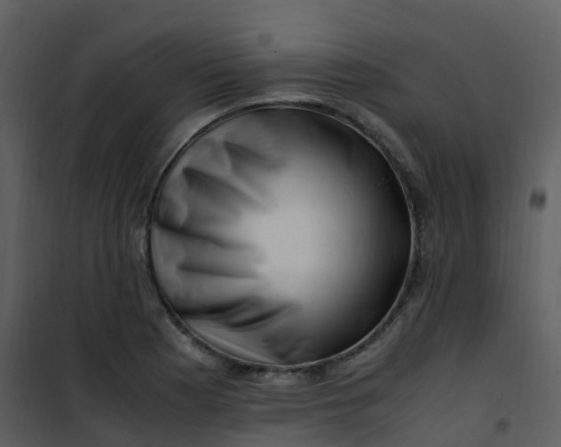 X0000101171177200807181416