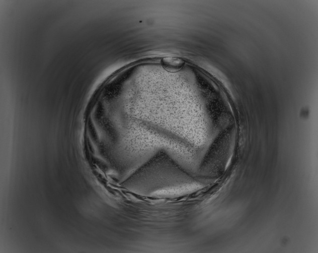 X0000101171179200807181416