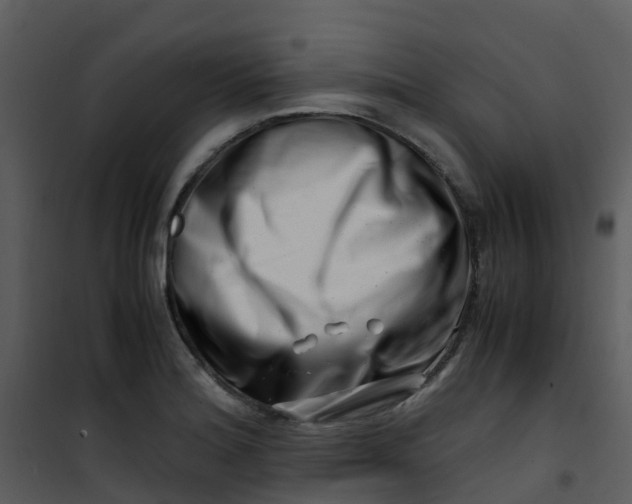 X0000101171180200807181416