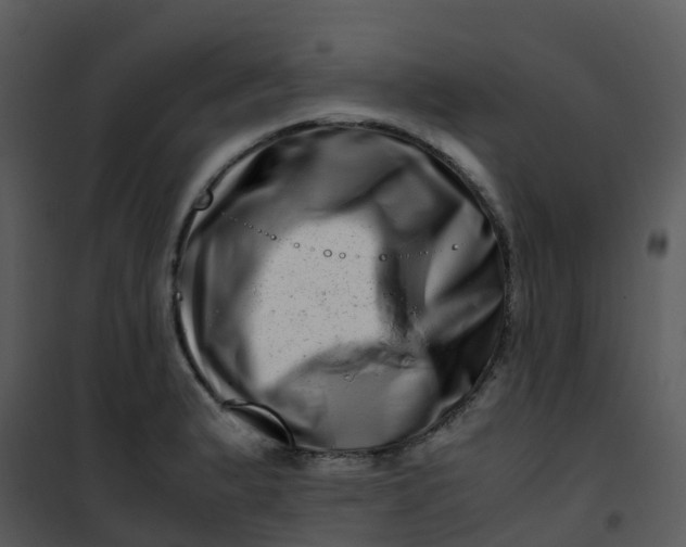 X0000101171183200807181416