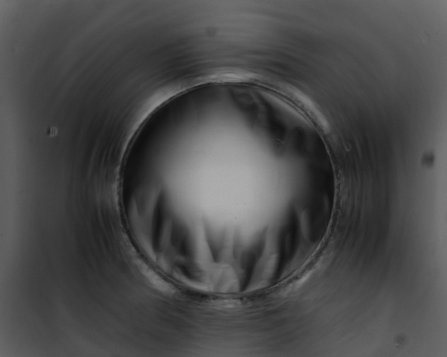 X0000101171186200807181416