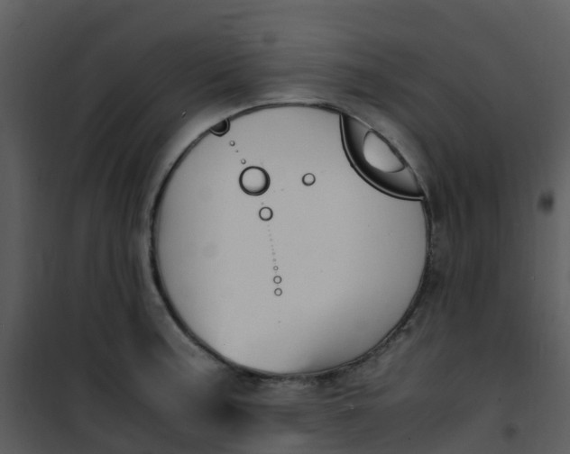 X0000101171187200807181416