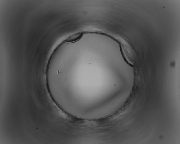 X0000101171191200807181416