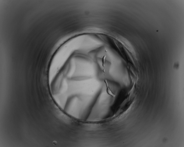 X0000101171192200807181416
