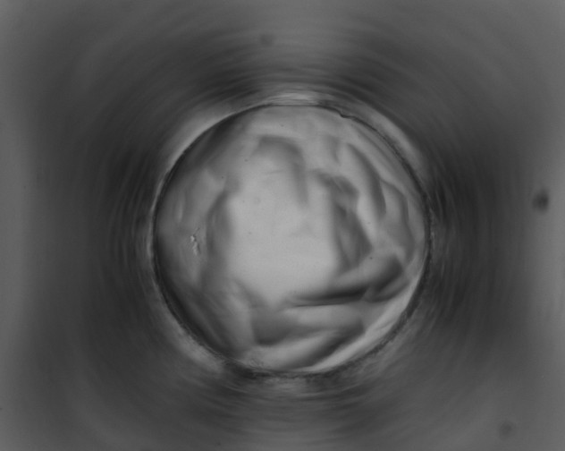 X0000101171194200807181416