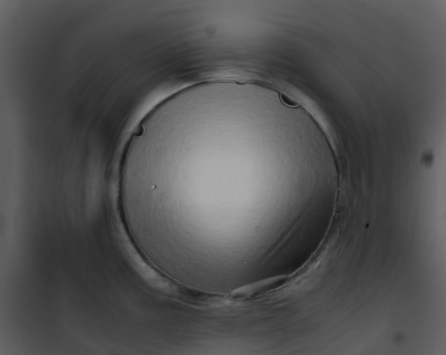 X0000101171195200807181416
