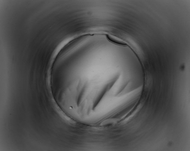 X0000101171196200807181416