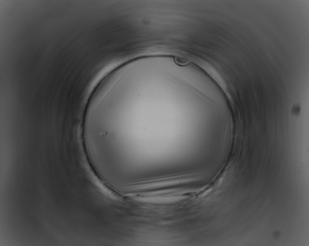 X0000101171197200807181416