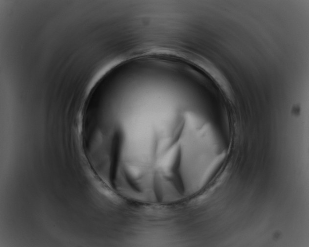 X0000101171198200807181416