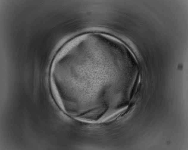 X0000101171199200807181416